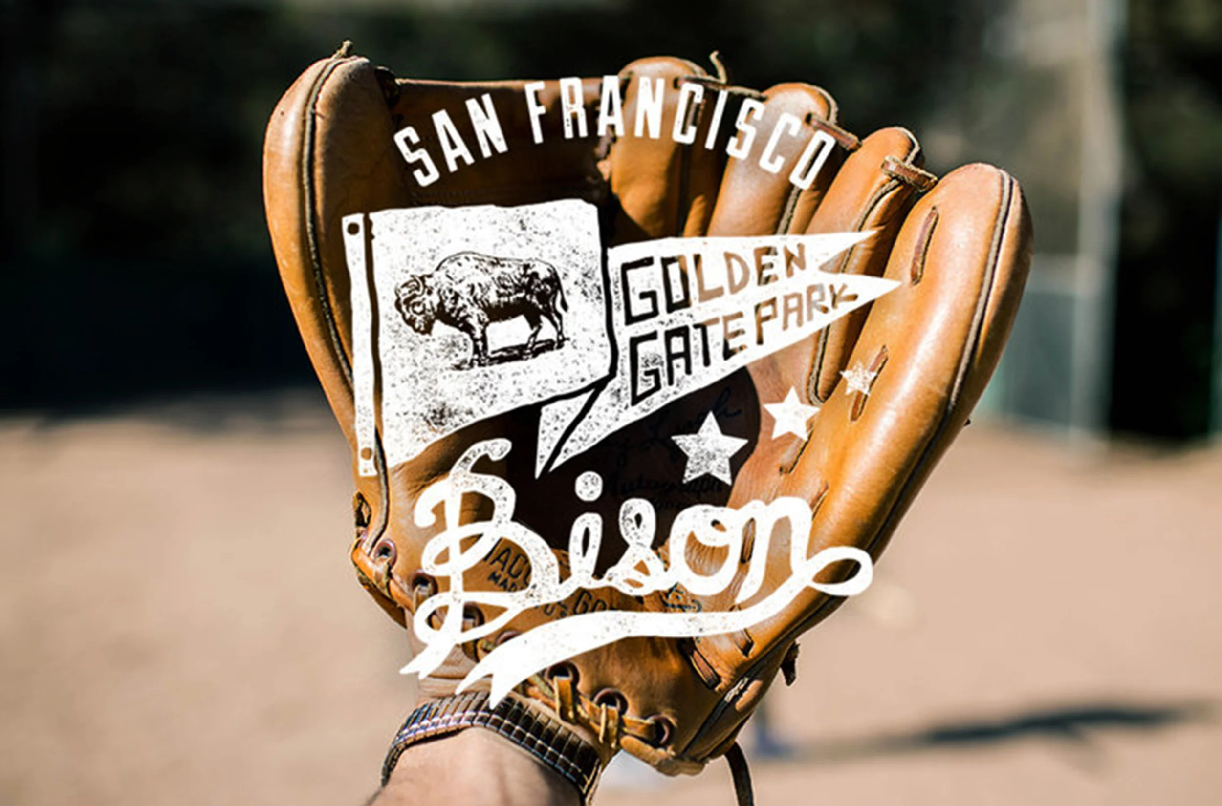 sf_bison.jpg