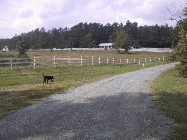 view from pond to barn, edited.JPG