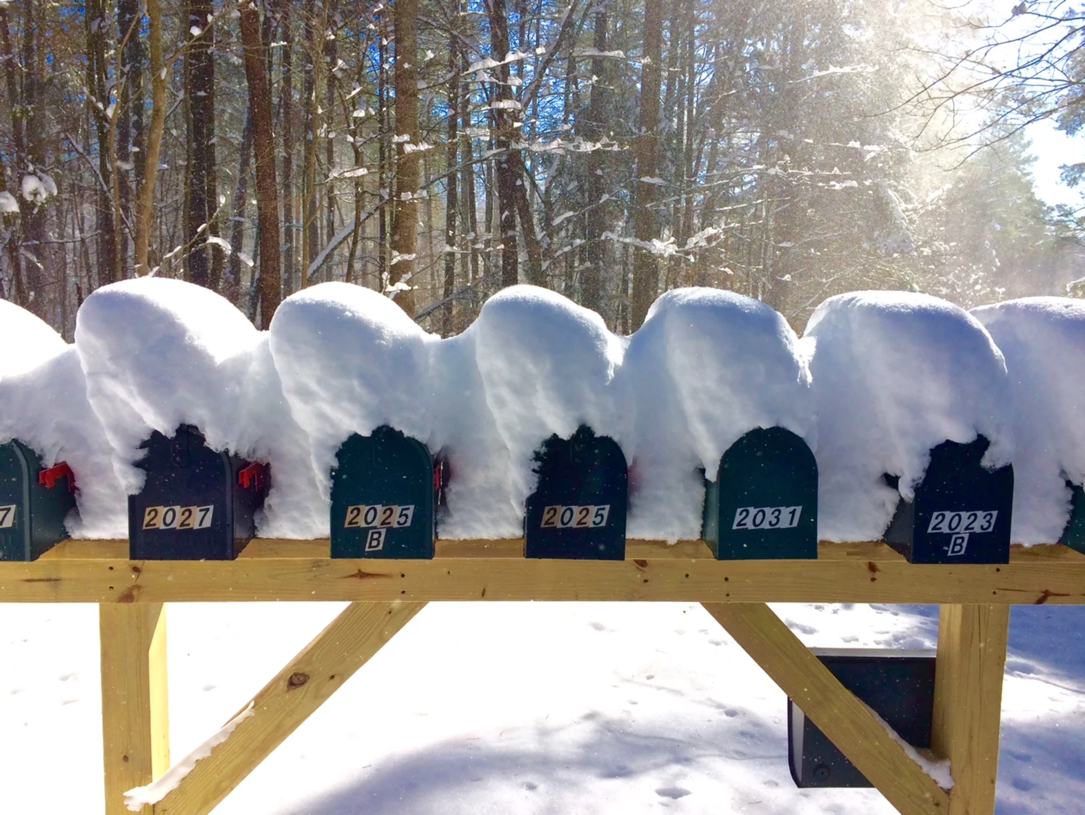 mailboxes-1.jpg