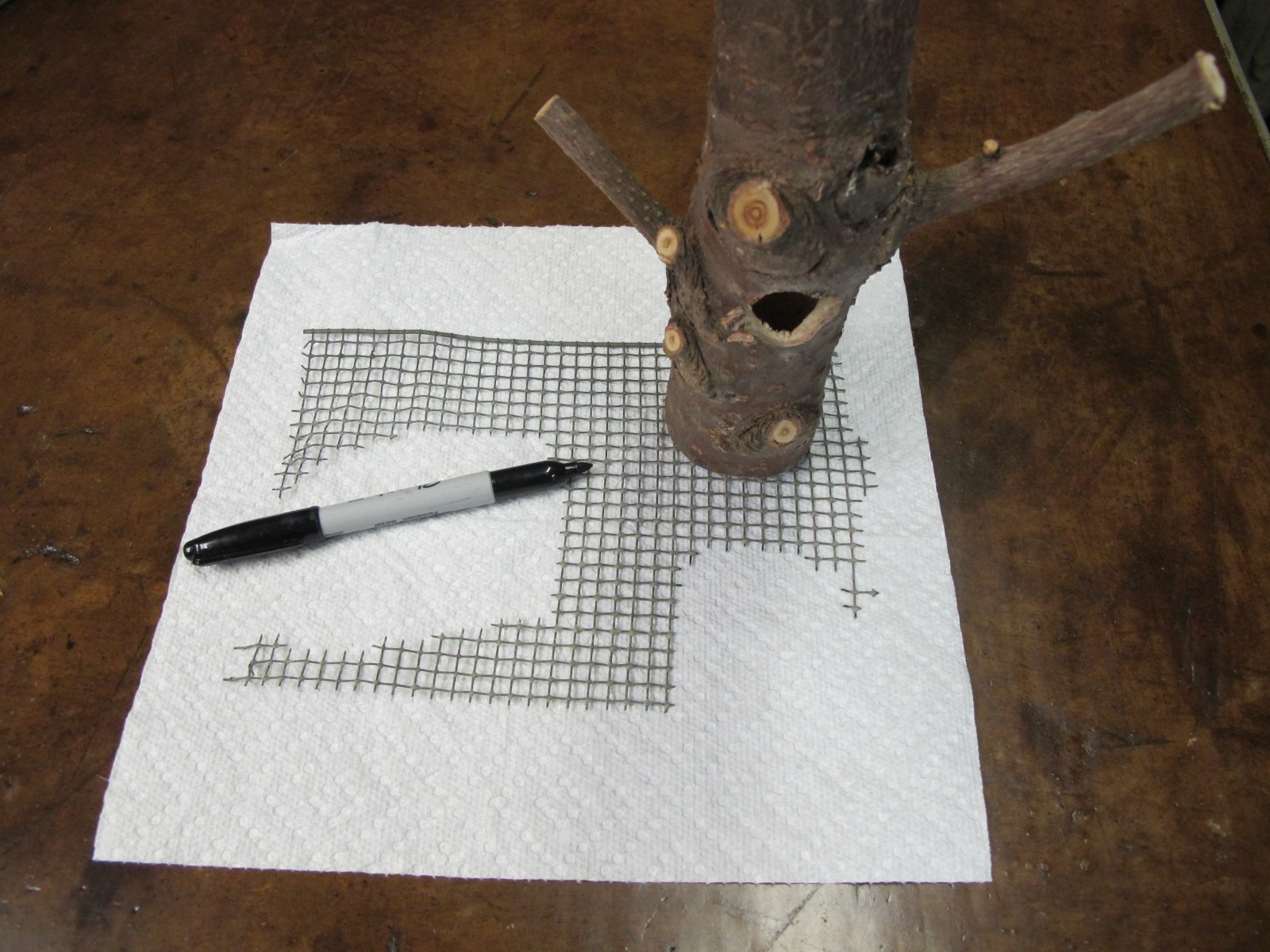  Sketch round pattern onto wire mesh&nbsp;with Sharpie pen using bottom of feeder . 
