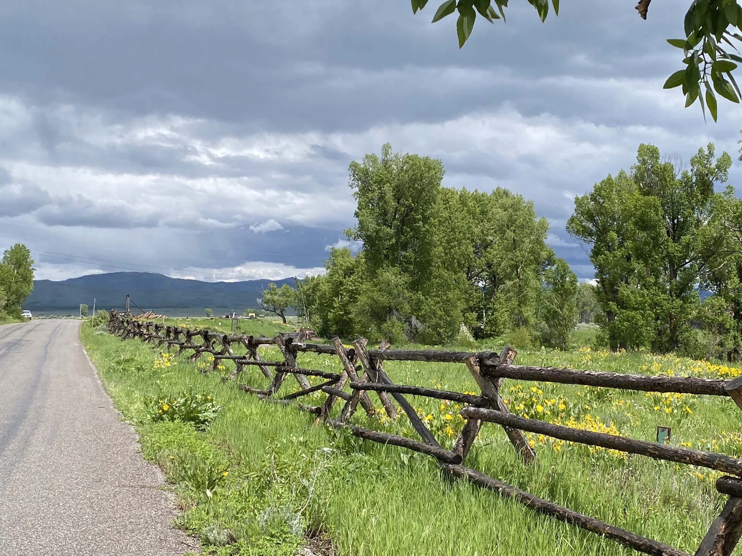 Birding Teton National Park