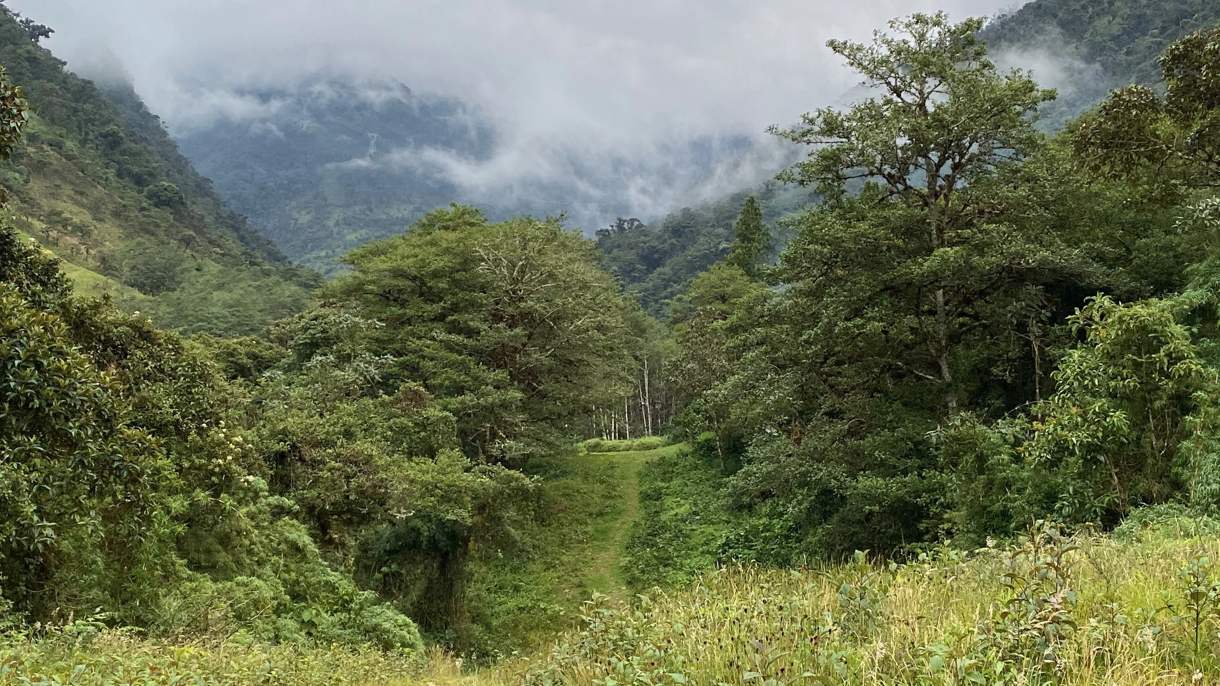 Guango Lodge