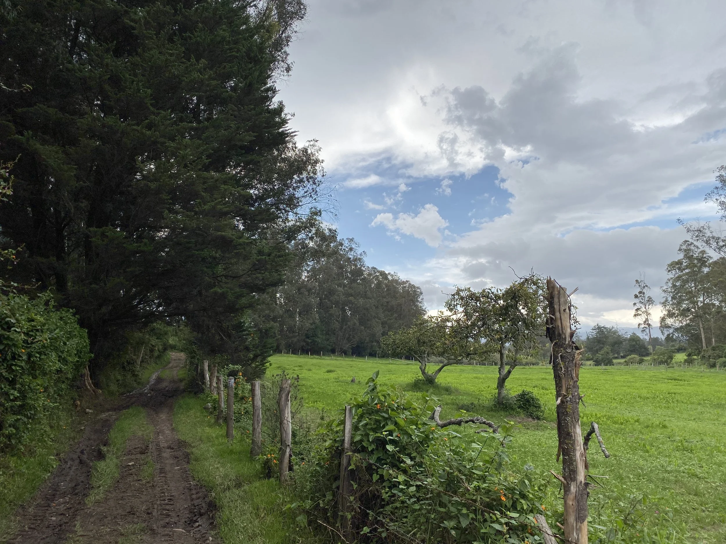 Birding site at San Jose de Puembo