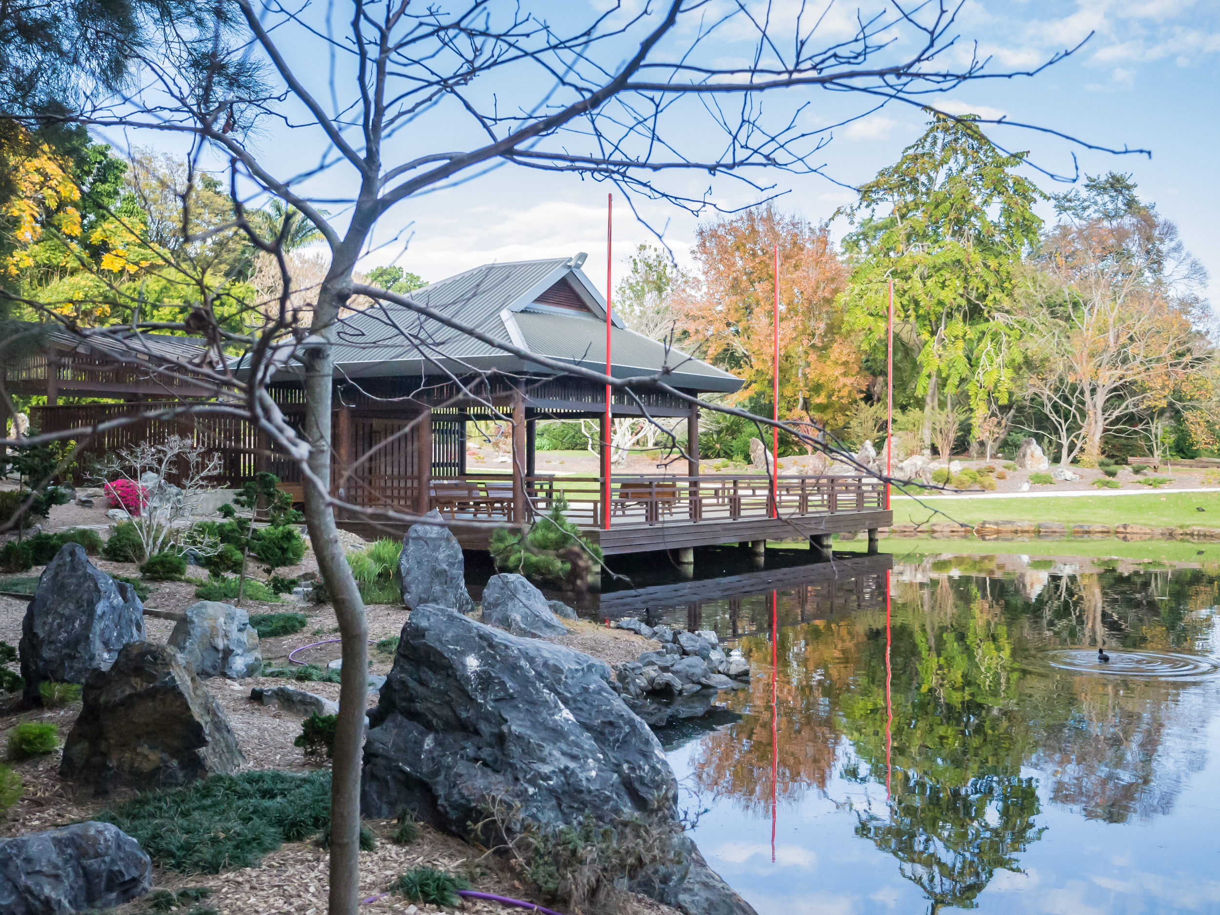 20150701-Japanese Gardens-P1040069-2.jpg