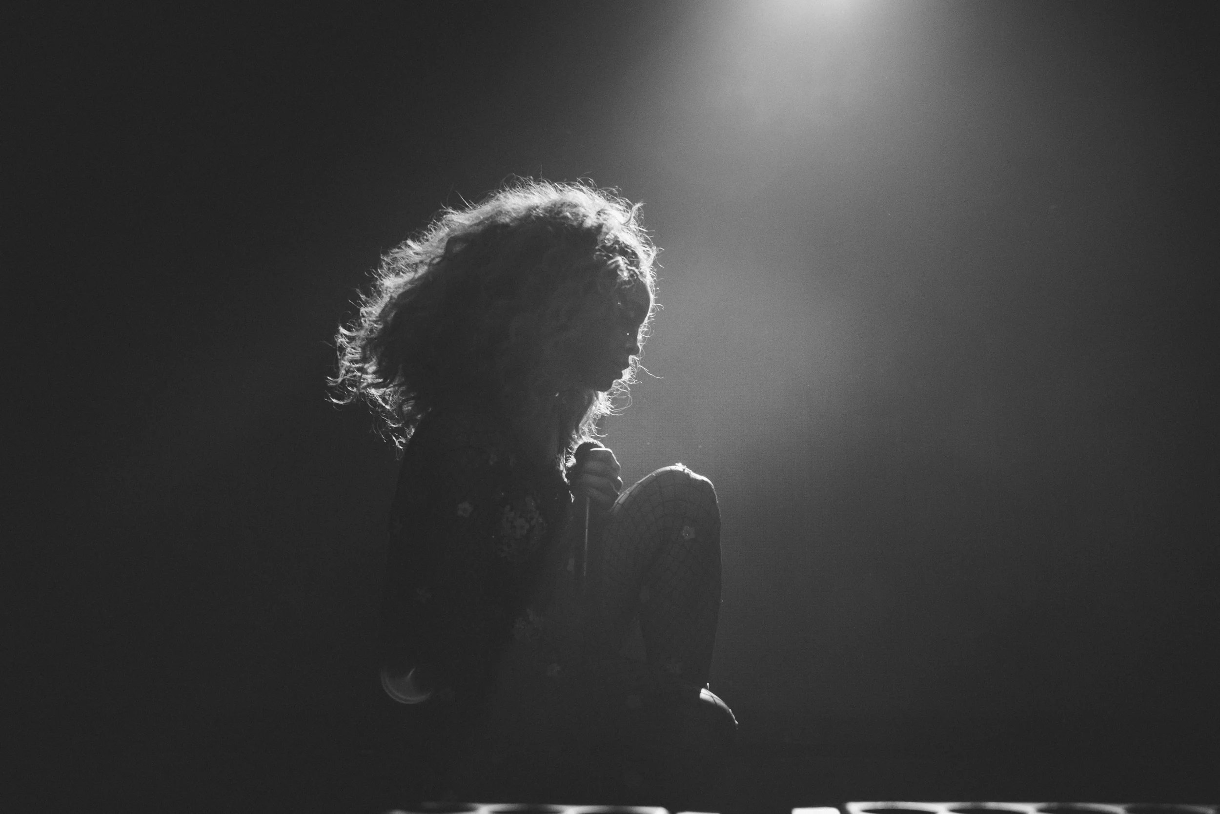 LION BABE-SW-0938.JPG