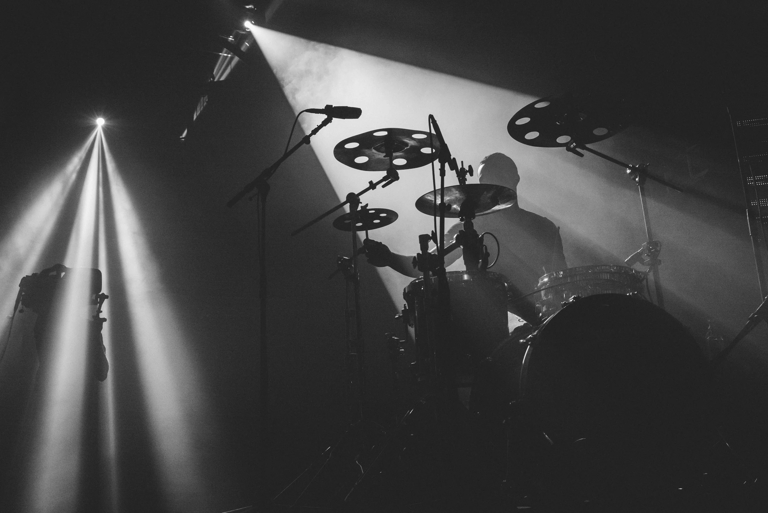 LION BABE-SW-0974.JPG