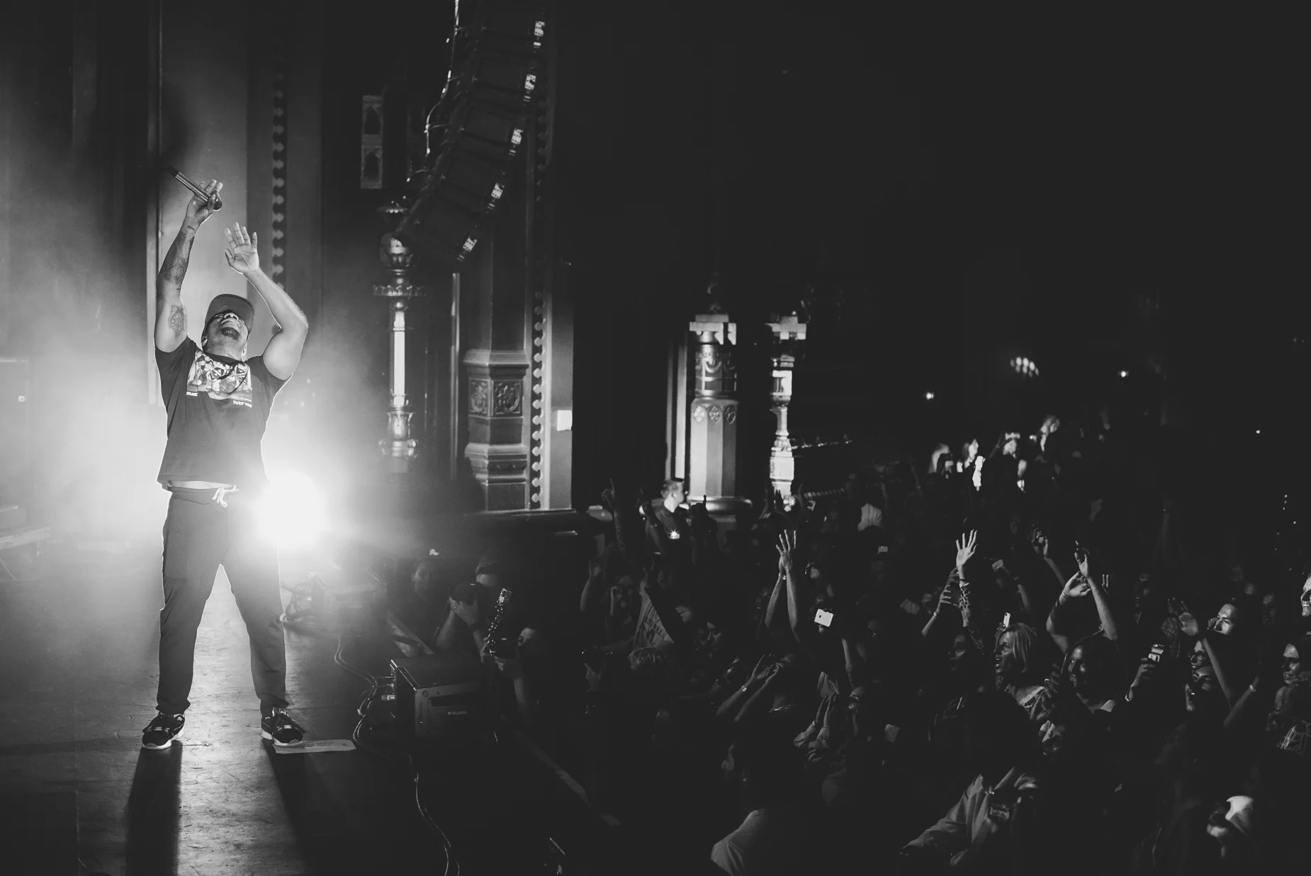 rudimental_fox (4 of 17).JPG