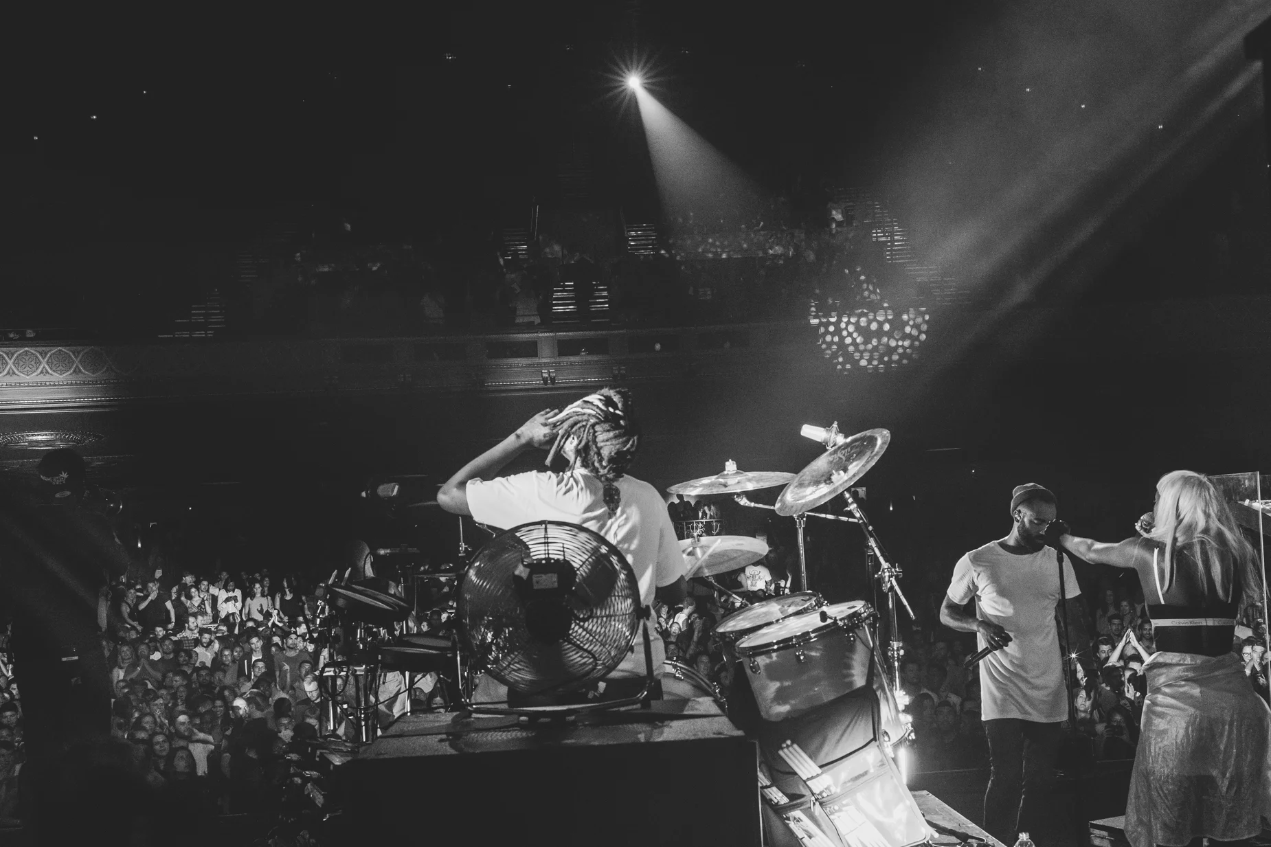 rudimental_fox (6 of 17).JPG