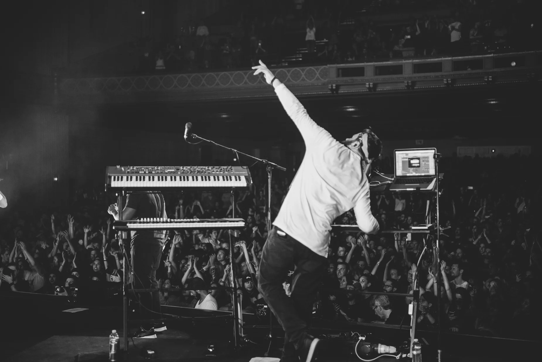 rudimental_fox (10 of 17).JPG