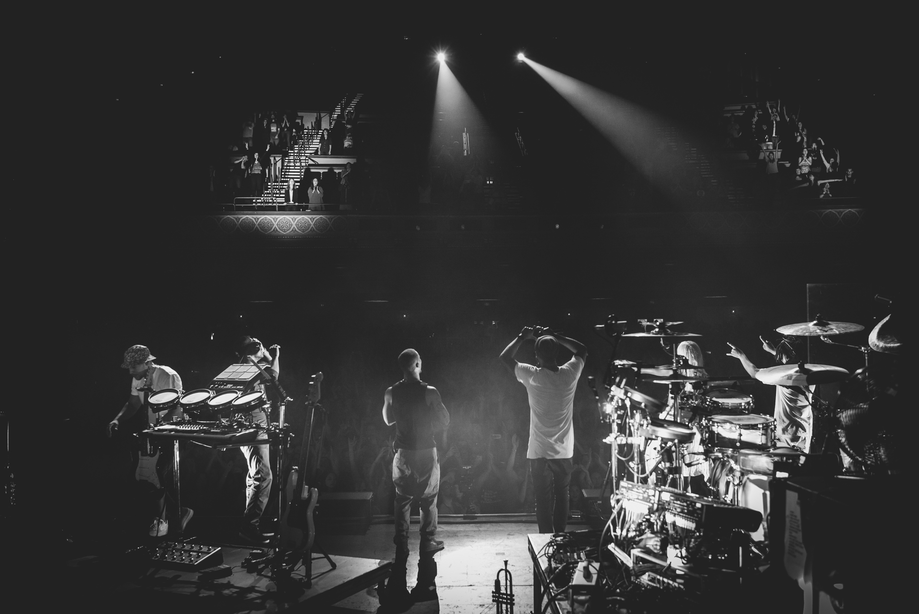 rudimental_fox (15 of 17).JPG