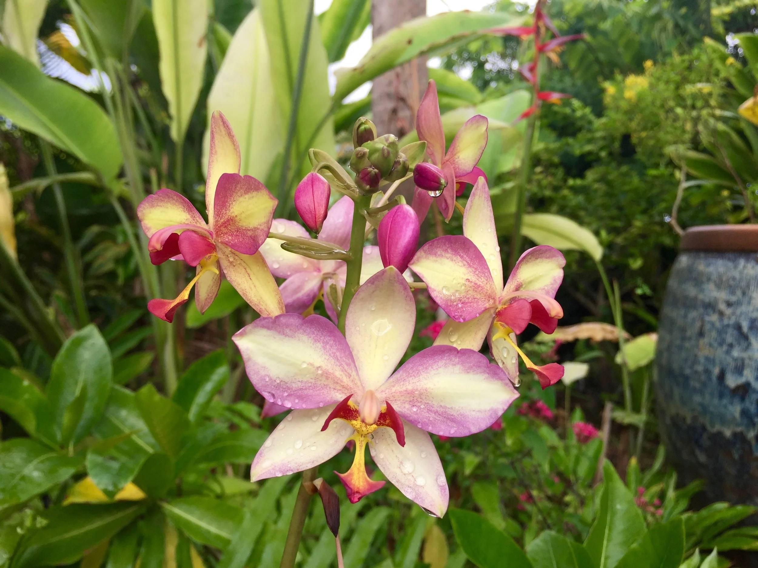 GardenFlowers2.jpg