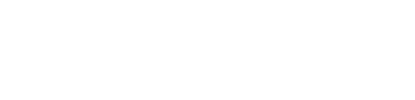 feinsinnig_logo_white.png