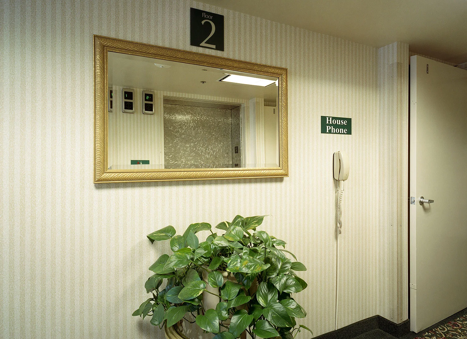 JMMiller_SuiteLife_04.jpg
