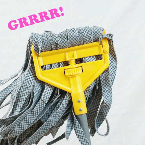 Joel Micah Miller － Kaercher JvM Bye Bye Mops