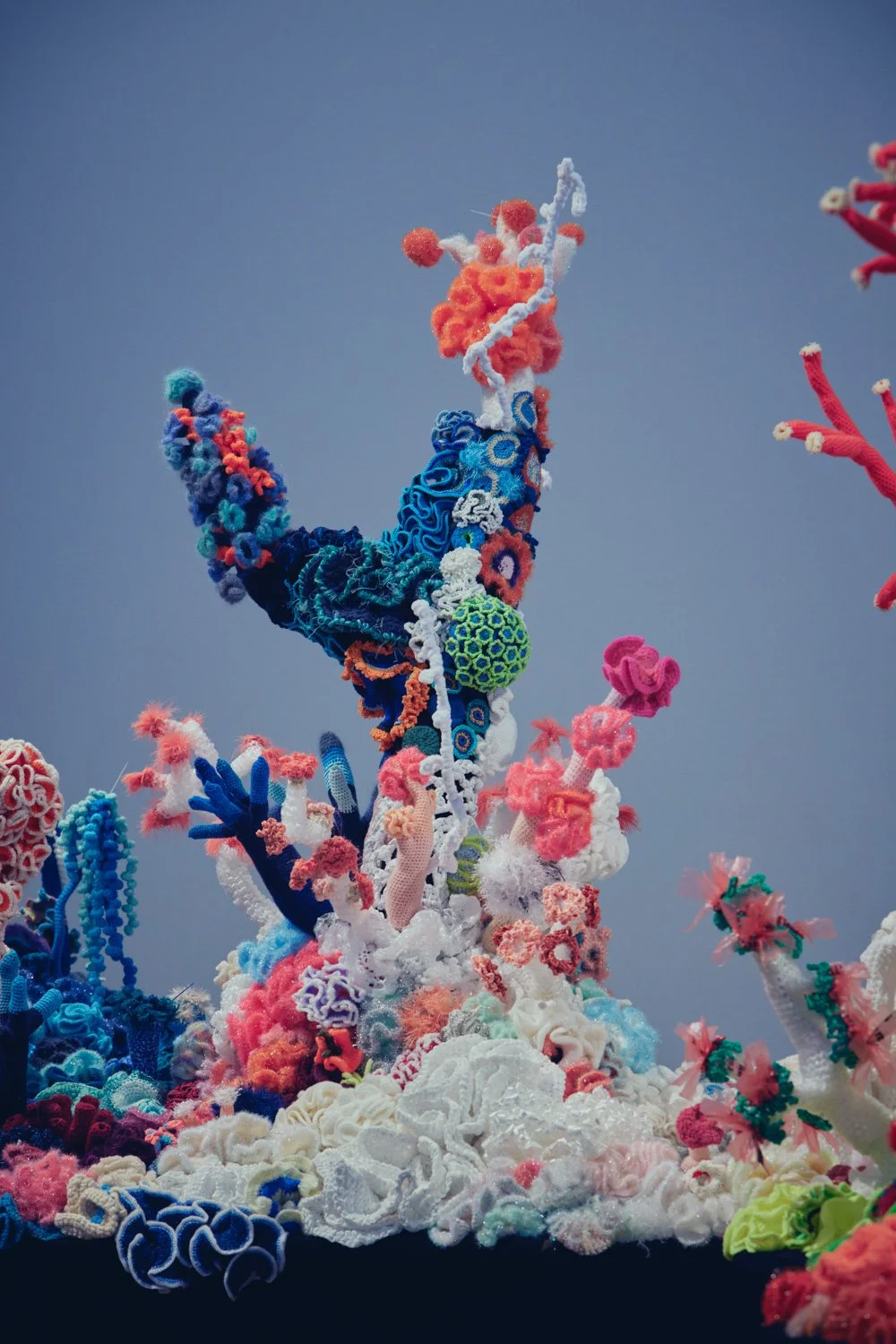 JoelMMiller_ARTMag_Wertheim_Corals_06.jpg
