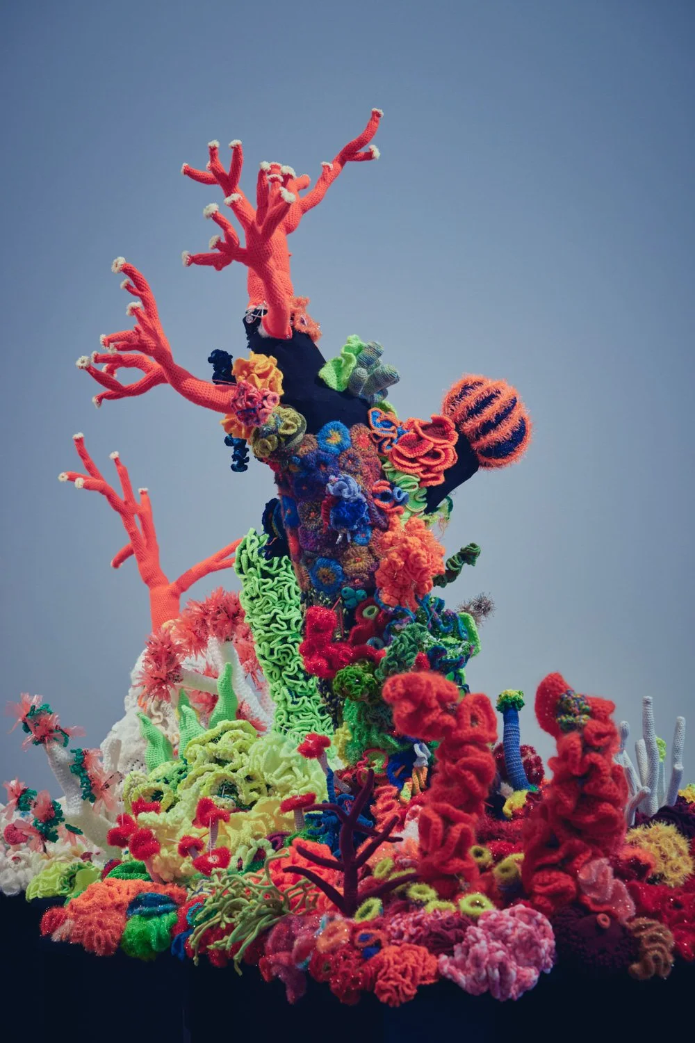 JoelMMiller_ARTMag_Wertheim_Corals_07.jpg