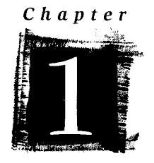 chapter1.jpeg