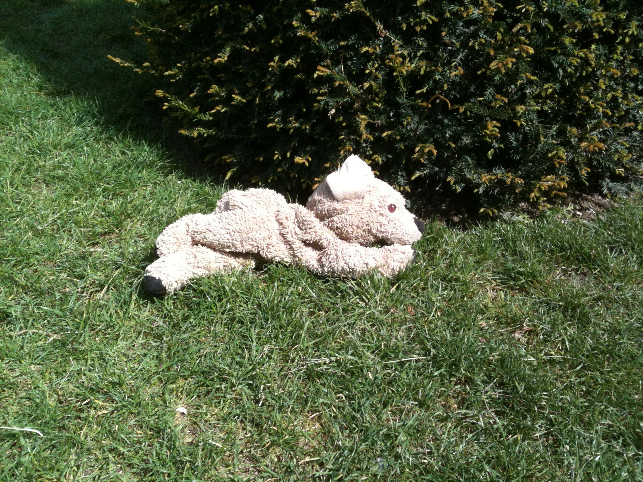 doudou.jpg