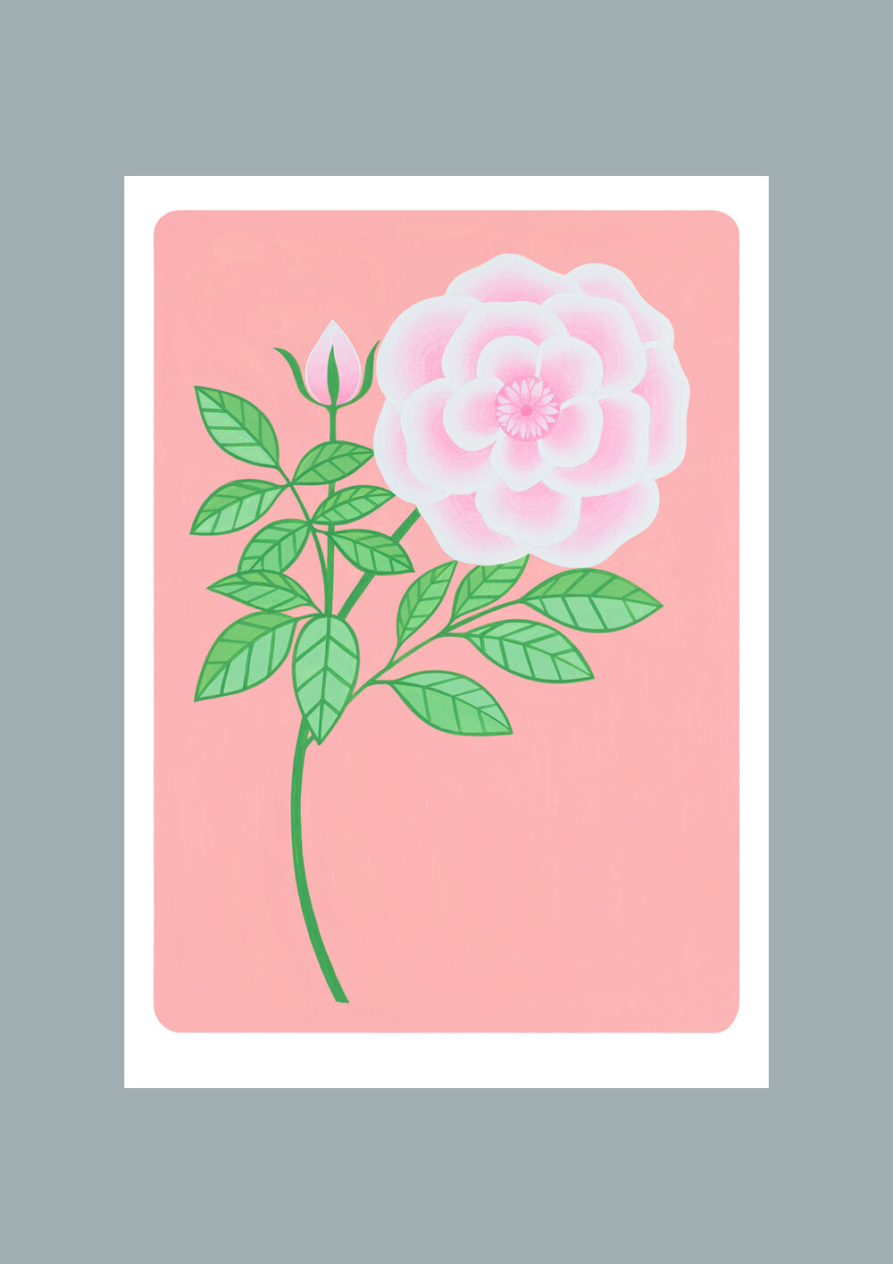 Bloom rectangle.jpg