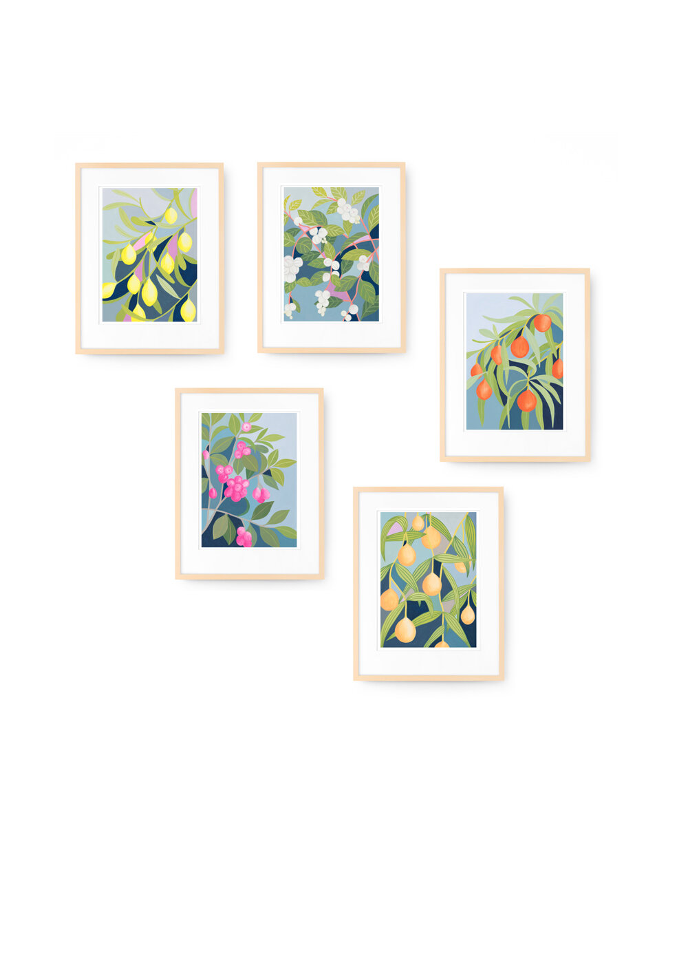prints in frames3.jpg