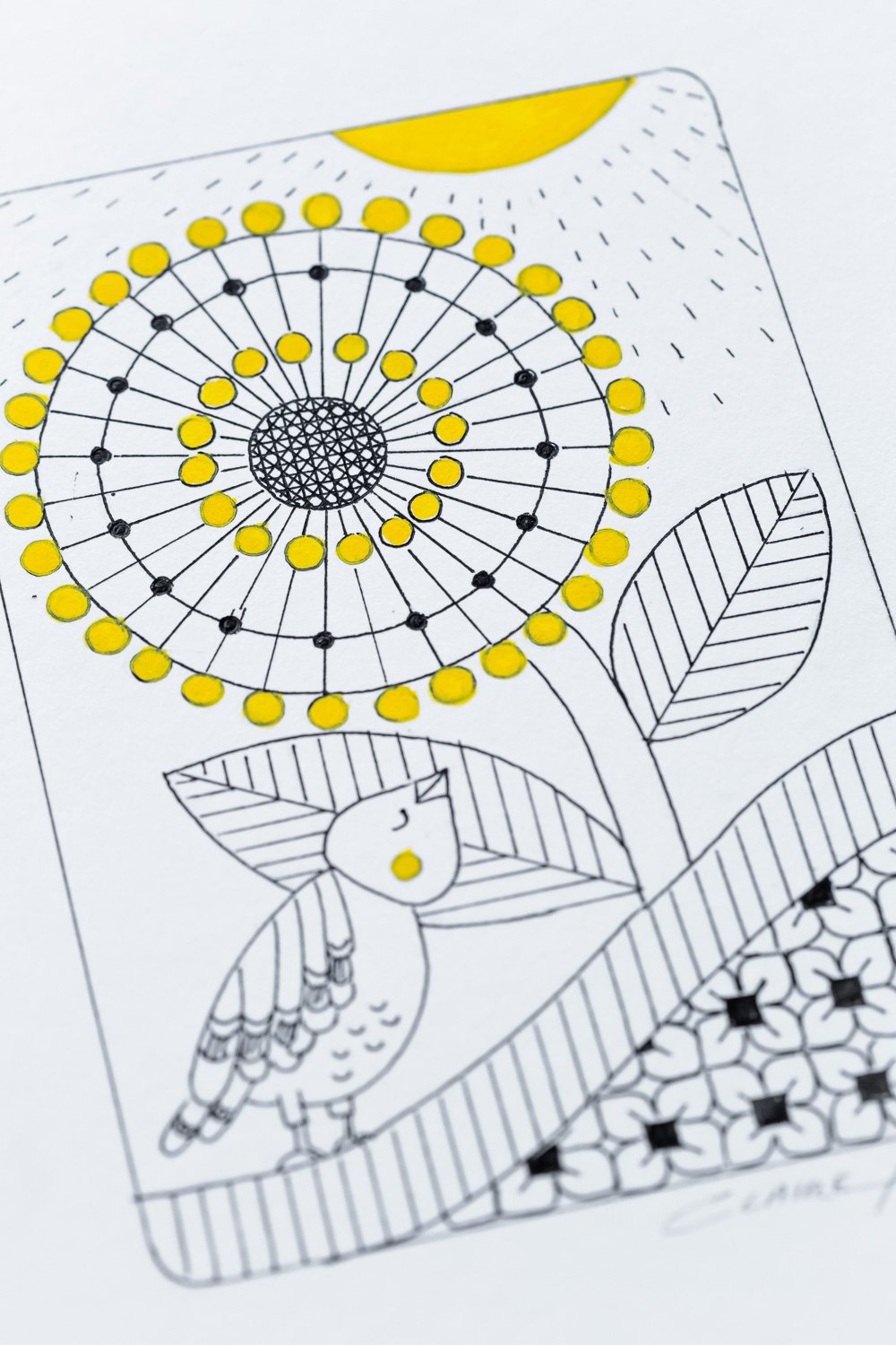 Birds Illustration LR2-08.jpg