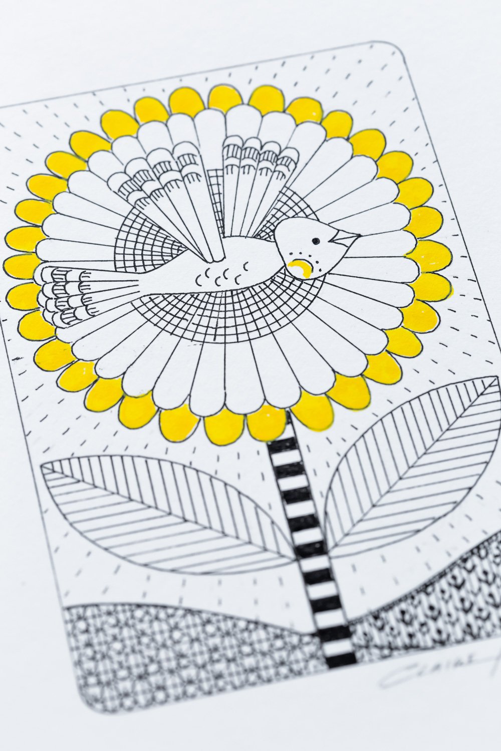 Birds Illustration LR2-18.jpg