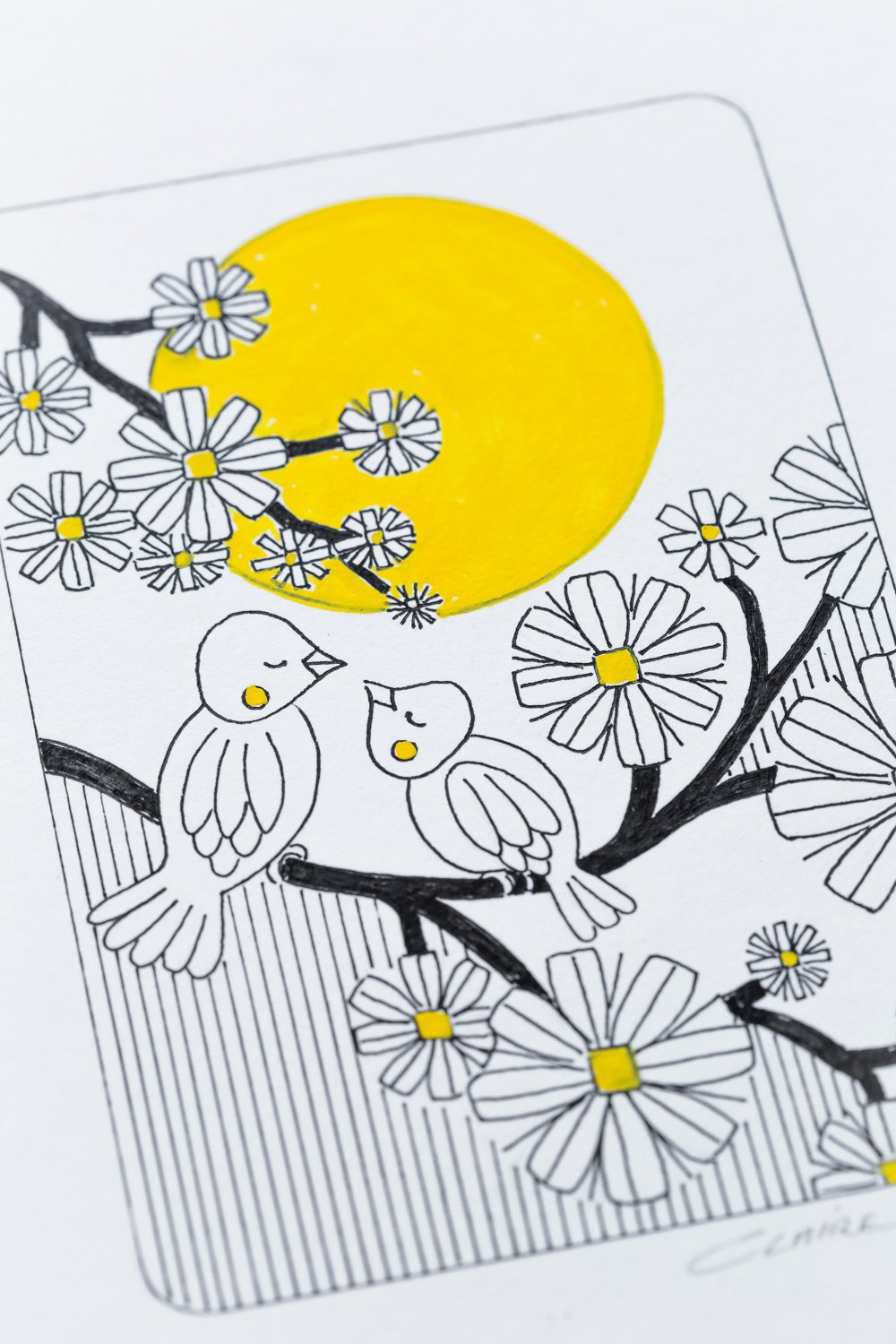 Birds Illustration LR2-01.jpg