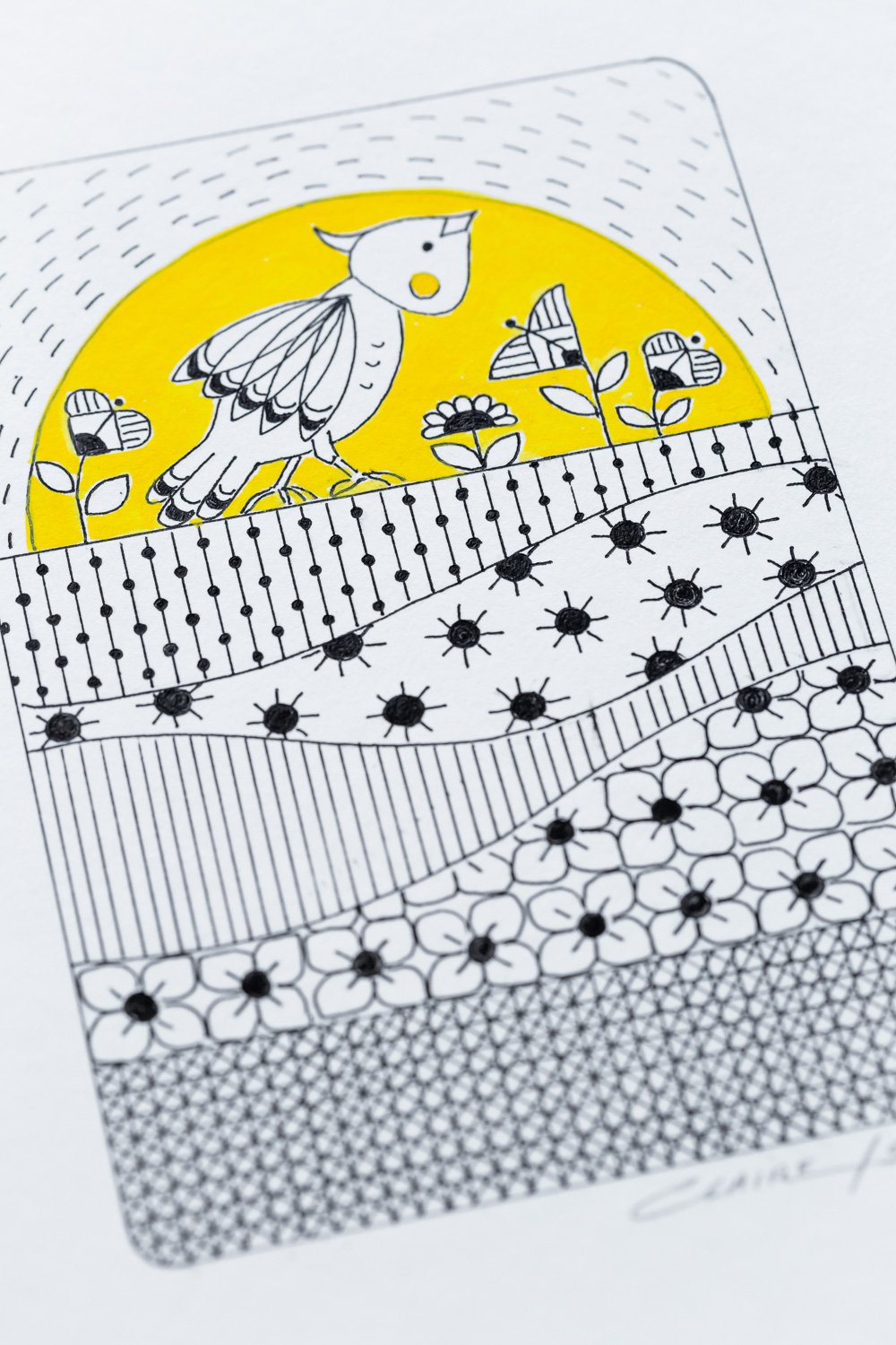 Birds Illustration LR2-20.jpg