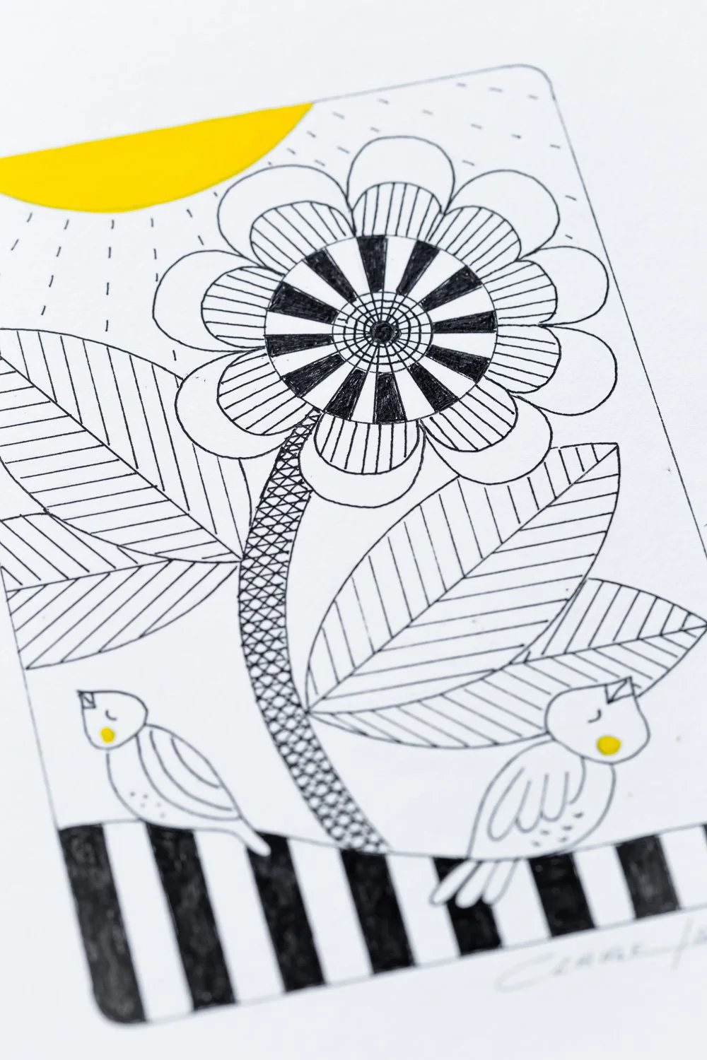 Birds Illustration LR2-04.jpg