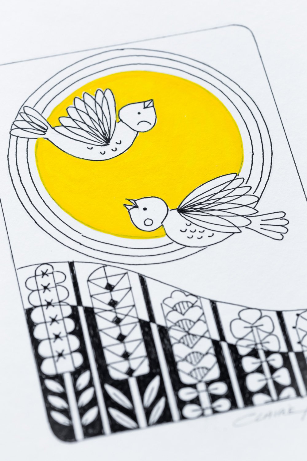 Birds Illustration LR2-13.jpg
