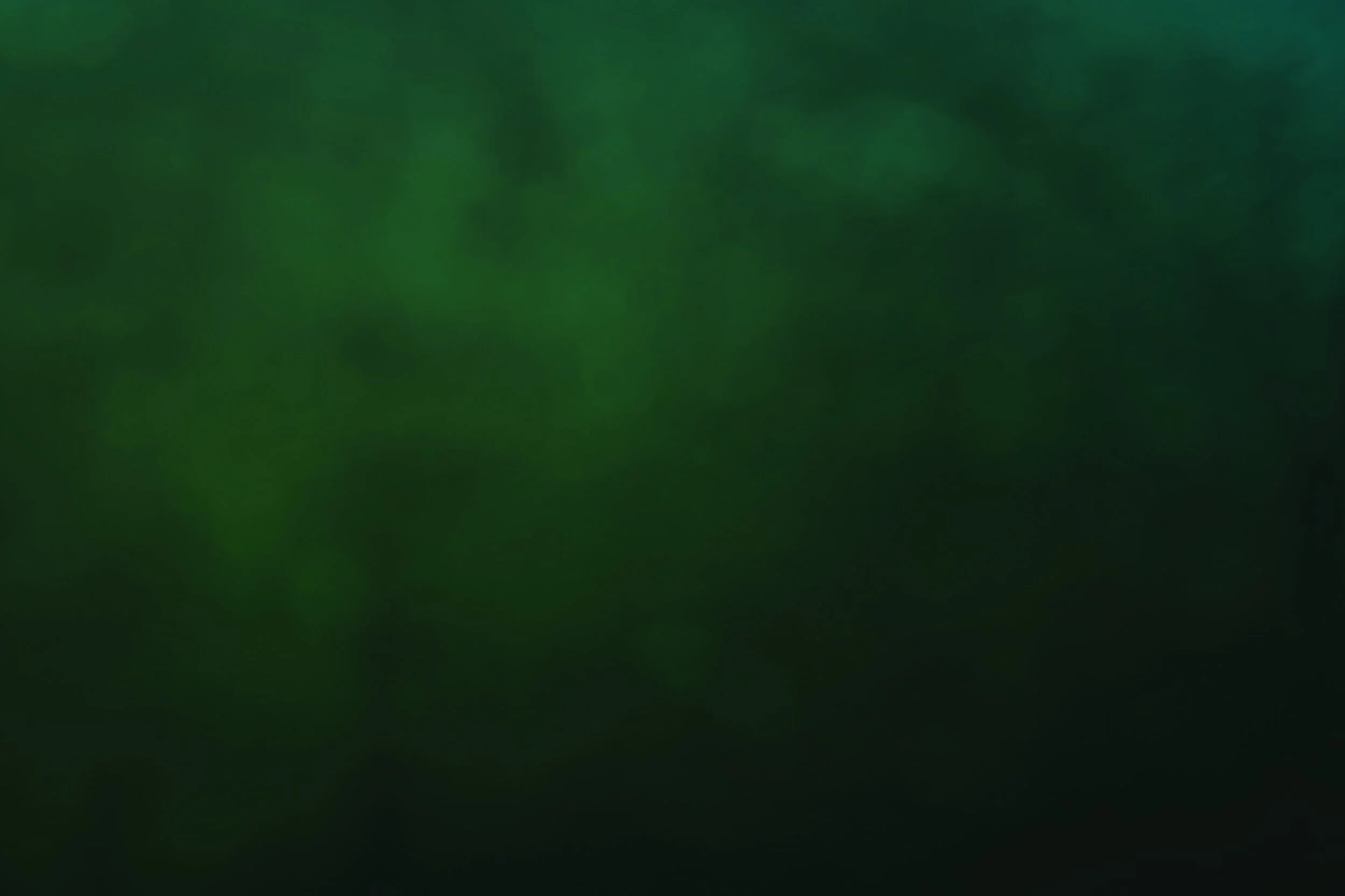 Plain.jpg