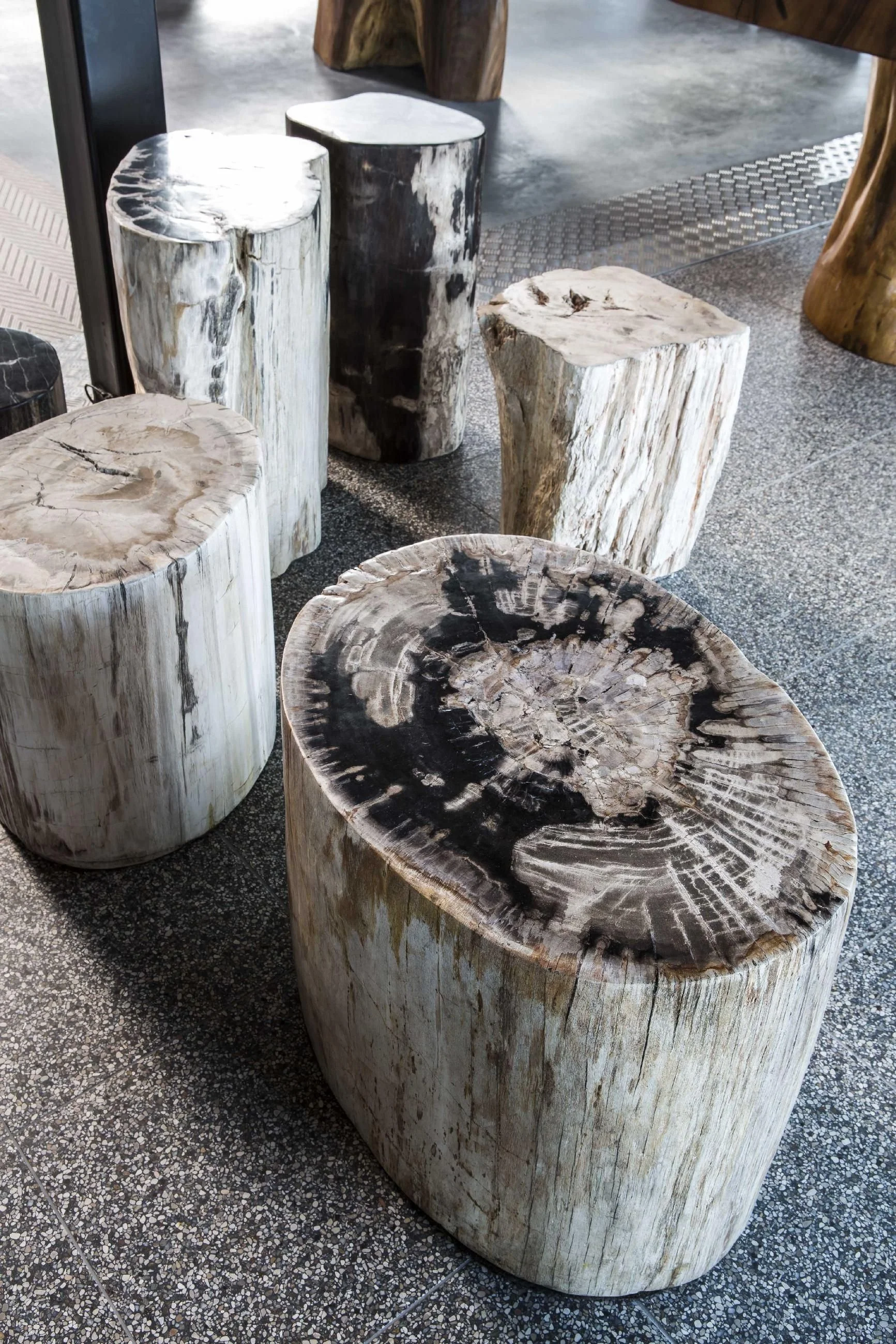 Holistic and Intuitive Interior Design 101: The Power of Petrified Wood - The Use of Crystals in Your Home Decor 