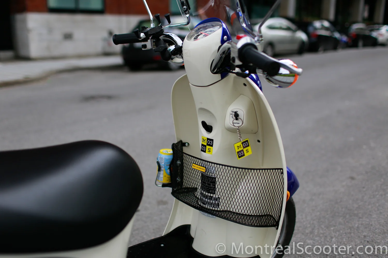 Gallery — Montreal Scooter Rentals and Tours Honda and Vespa