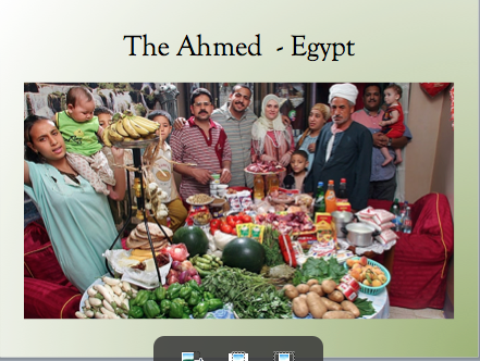 The ahmed family of cairo feeds 12 people on $69.00 per week ( US currency)