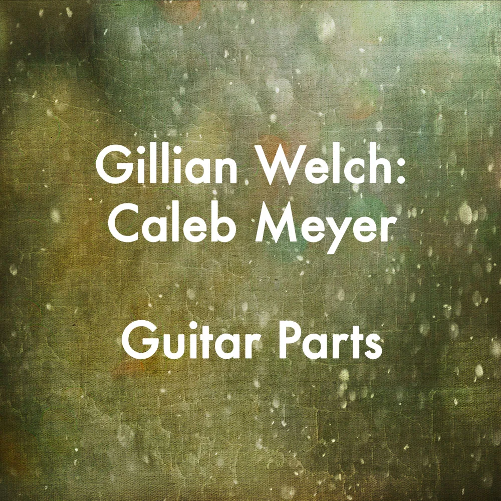 "Caleb Meyer" Guitar Parts