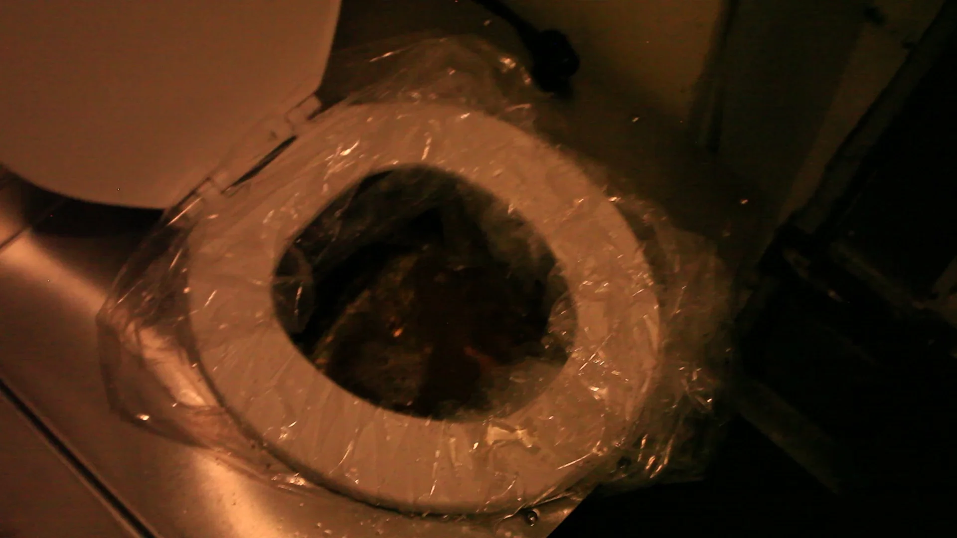 MVI_3956.MOV.Still001.jpg