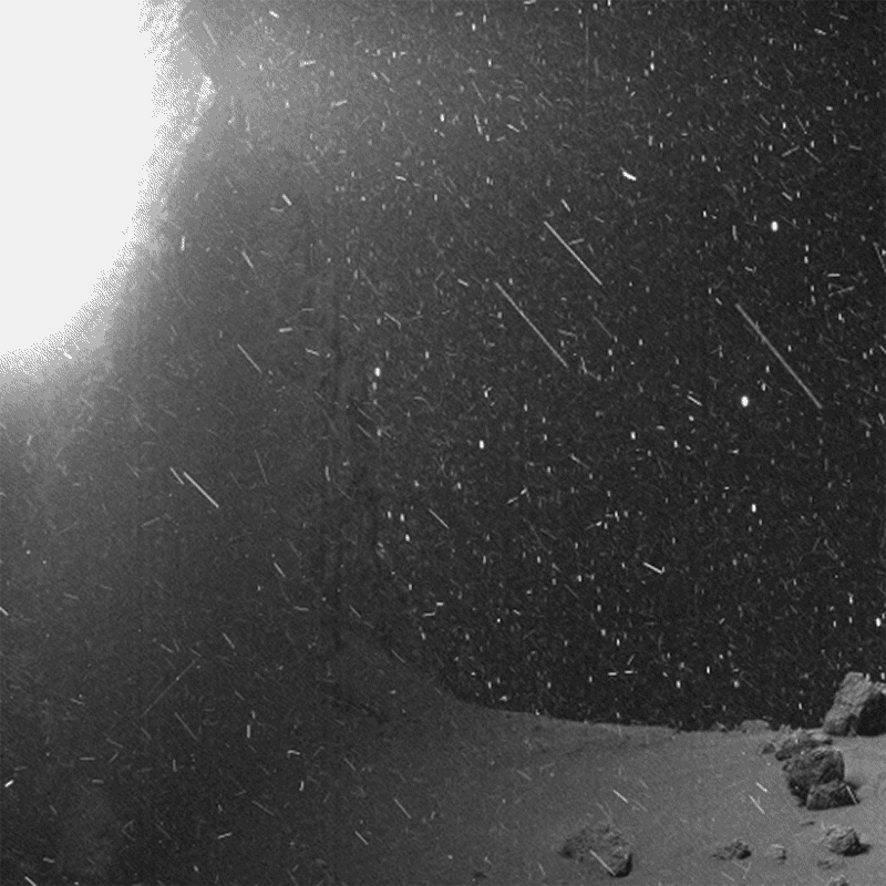 d41586-018-07684-4_16332036.gif