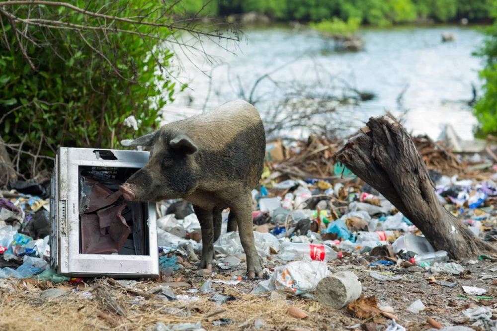2016_1_3_Plastico_Day12_PlasticWaste_5DMK3_STILLS_006.jpg