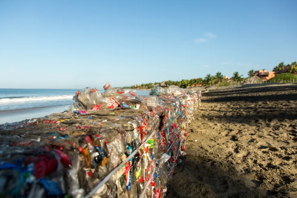 2015_12_27_Plastico_Day6_MorningBeachPlastic_5DMK3_STILLS_0063.jpg