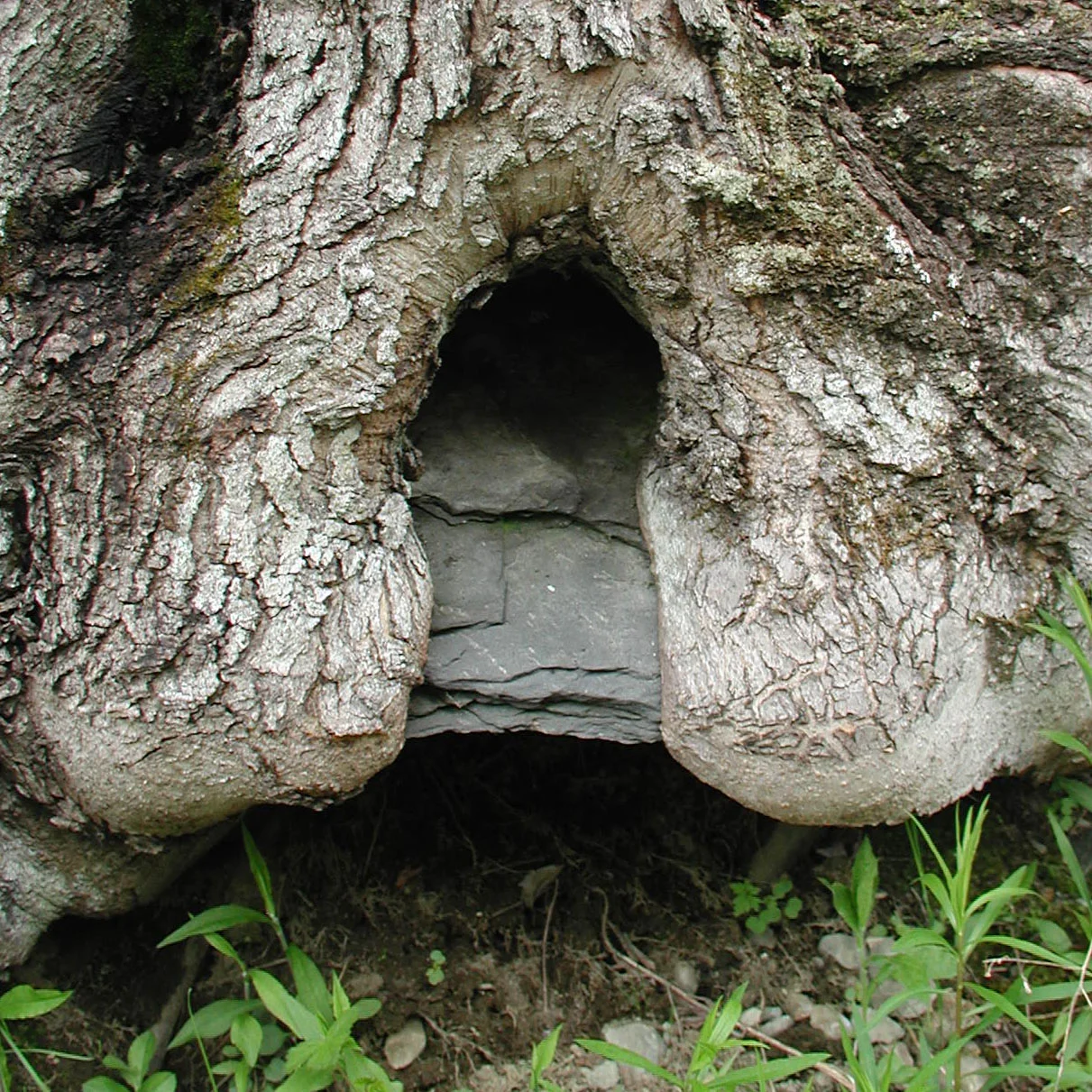 P1010014.jpg