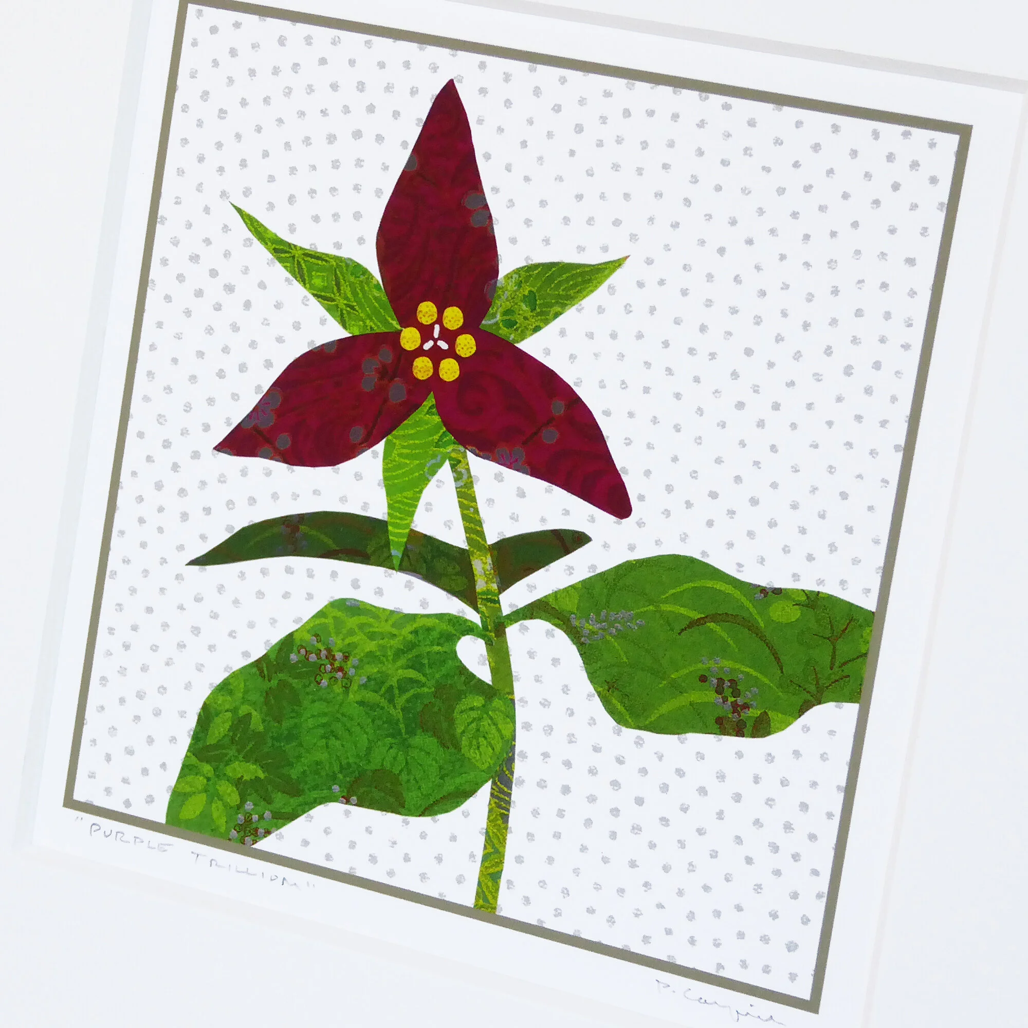 trillium close up.jpg