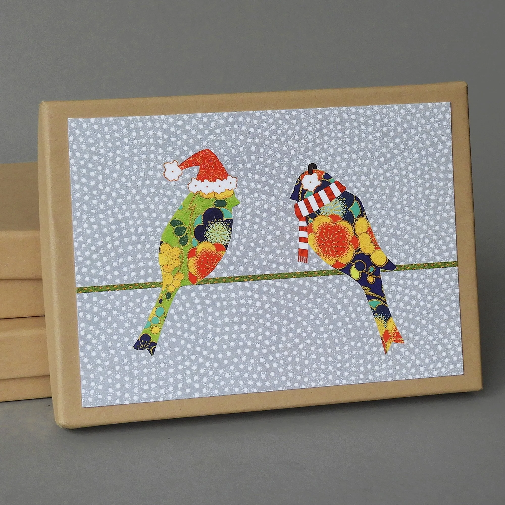 bird in earmuffs box.JPG