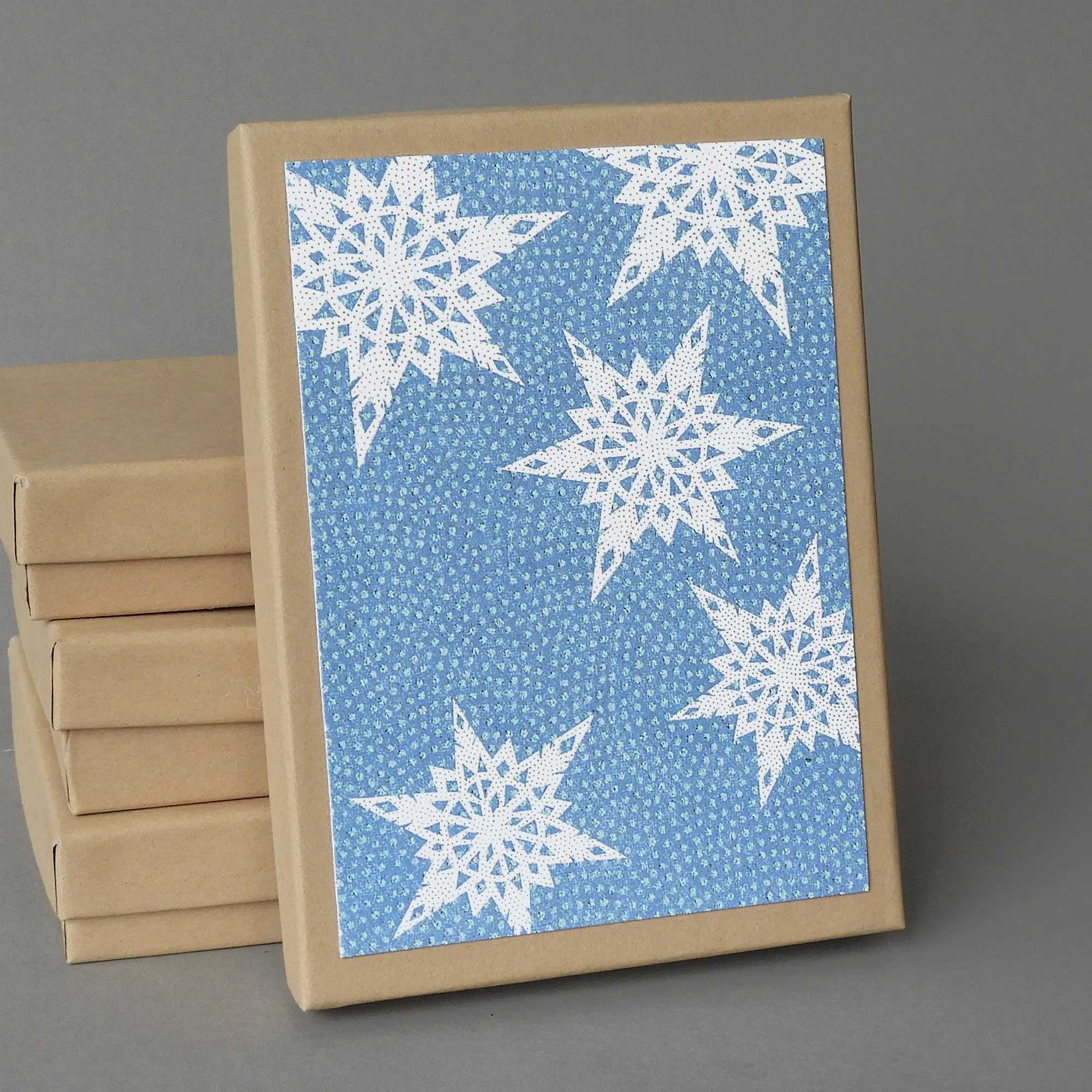 falling flakes box.JPG