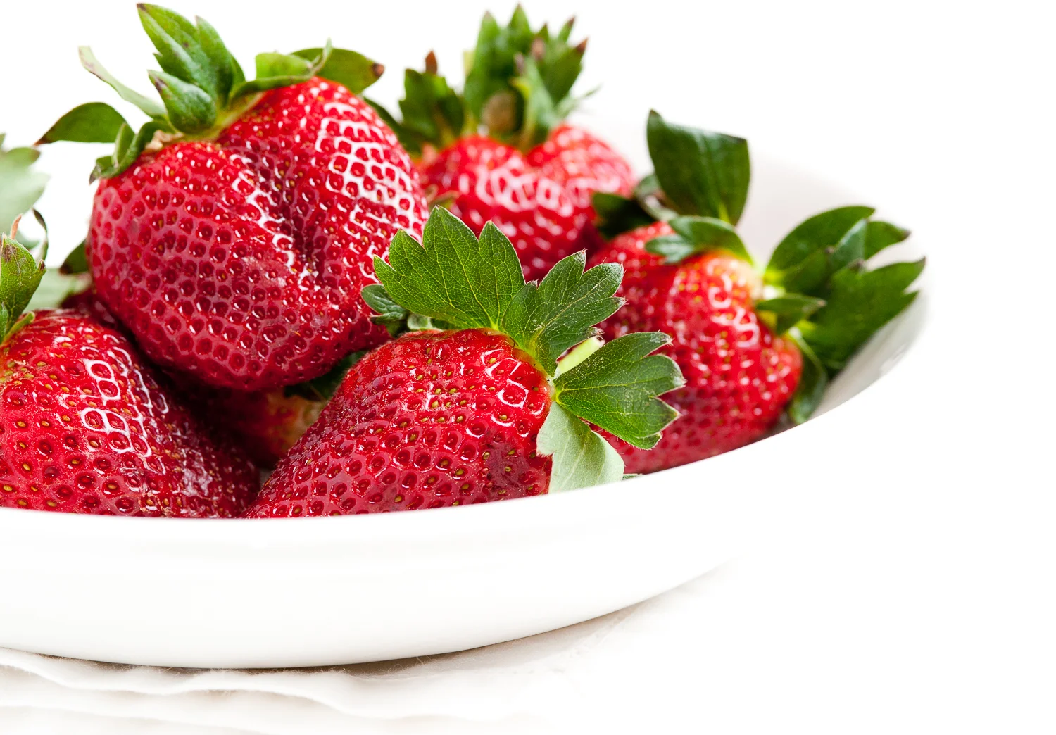 20110318_culinary_central-444.jpg