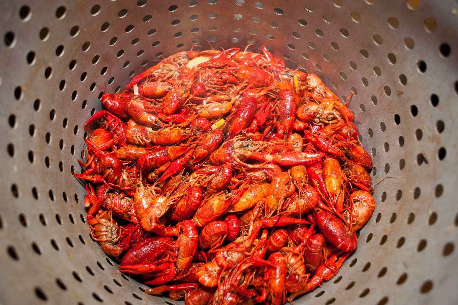 20110513_ypo-827.jpg