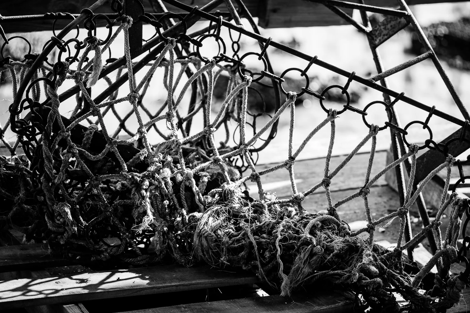 20120317_tptb-37.jpg