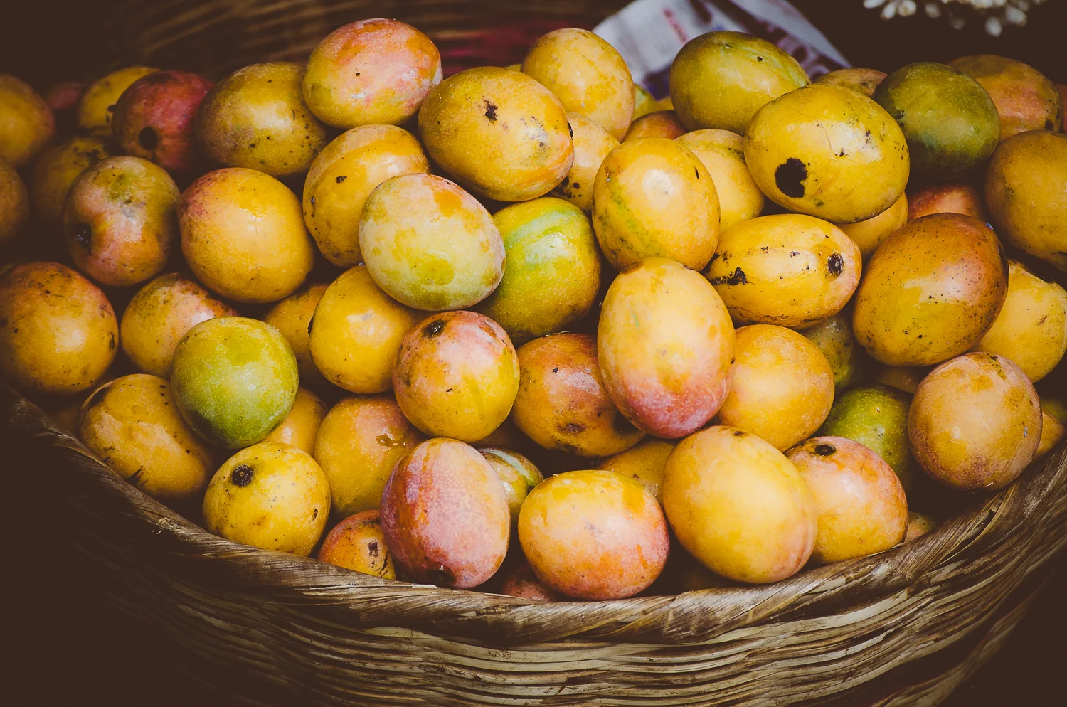 20110607_el_salvador-1756.jpg
