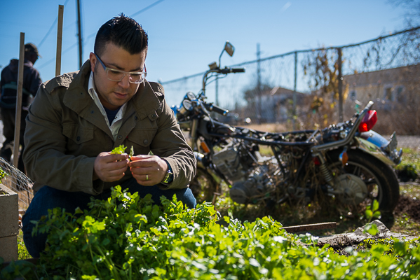 I started as creative director and photographer for Edible New Orleans. This is Chef Phillip Lopez who has partnered with Habitat for Humanity and grows beautiful vegetables in the 9th ward of New Orleans.