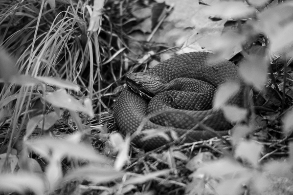 and I almost stepped on this!!!