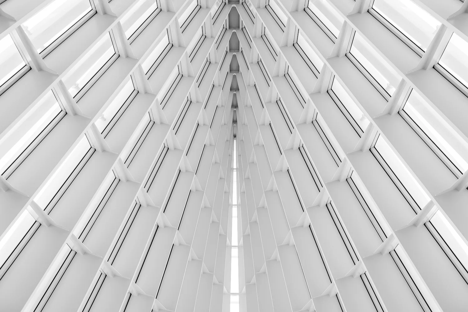 untitled-856.jpg